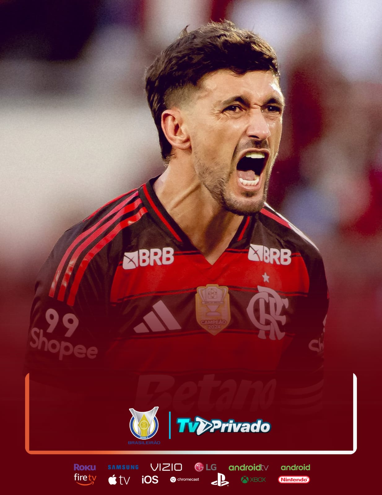 Brasileirao Seria A 2025